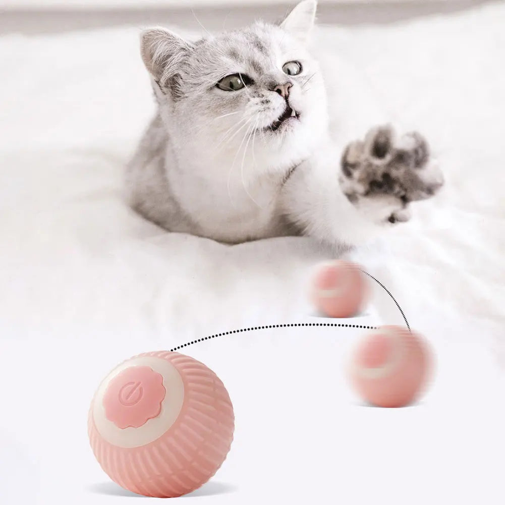 Katzen Spielball