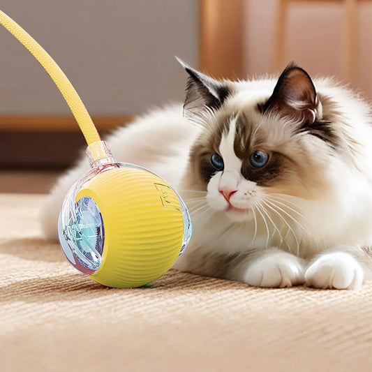 Spielspaß für Katzen: Automatischer Ball